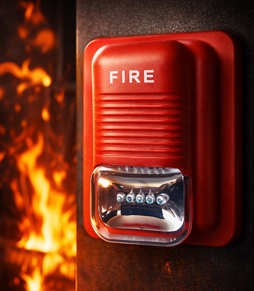 XFIRE DG